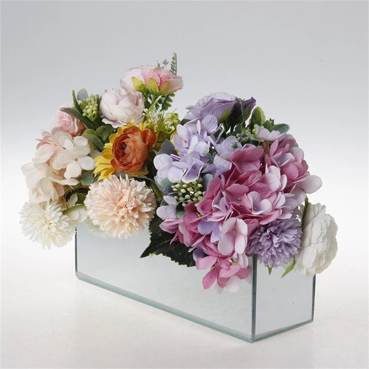 Hydroponic Glass Vase